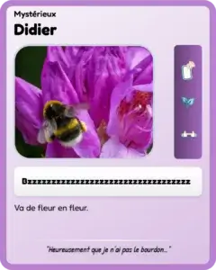 carte-artichaut-didier