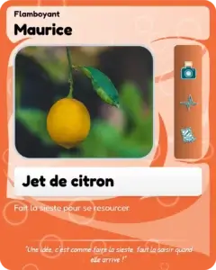 carte-artichaut-maurice